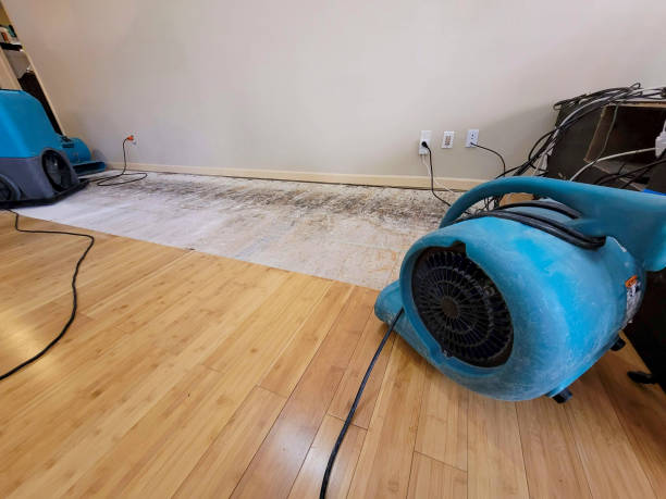 Reliable Basement Flood Cleanup contractor in Juliustown, NJ by Hirex Water Damage
