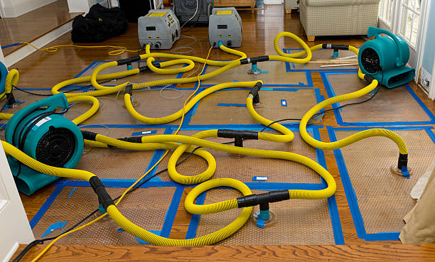 Professional Basement Flood Cleanup technician working in Juliustown, NJ